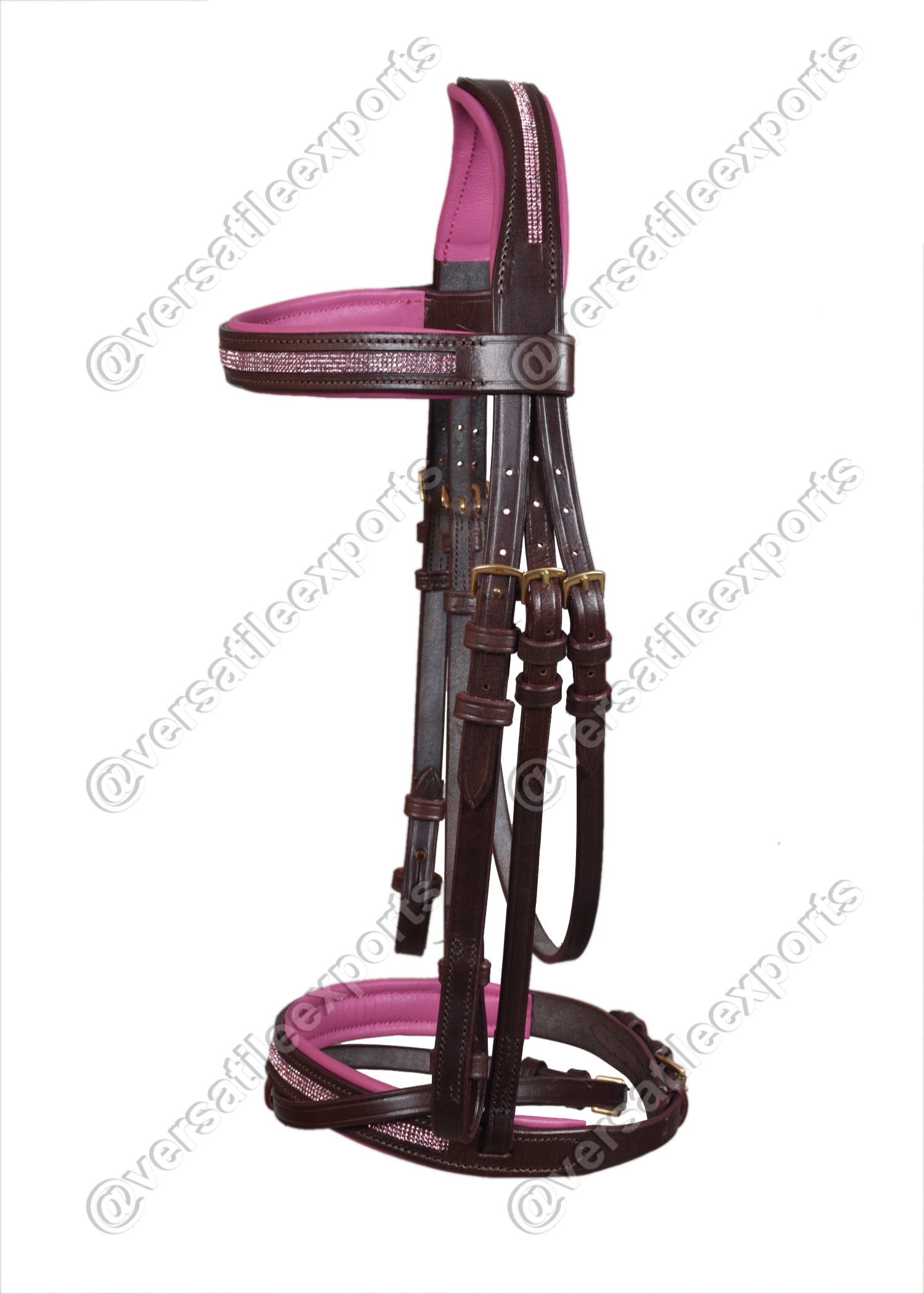 Bridle Shiny